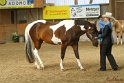 23-APHA SS_016